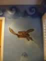 Sea Life Mural in a Kids Bath